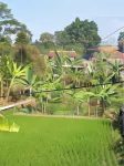 Wildan's Guest House Hotels in Cugenang