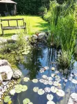 Rosemead Guest House Hotels in Thames Ditton