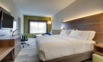Holiday Inn Express & Suites Aurora - Naperville