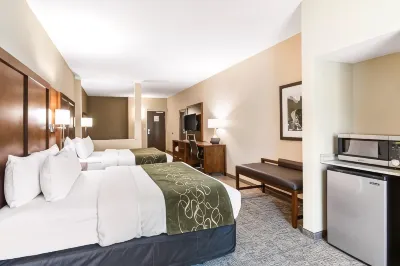 Comfort Suites Denver Near Anschutz Medical Campus