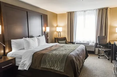 Comfort Inn & Suites Pharr/McAllen Hotels in San Juan