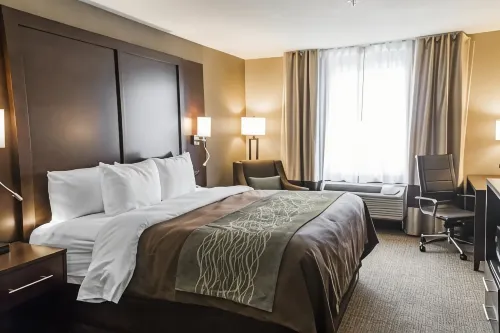 Comfort Inn & Suites Pharr/McAllen Hotels in San Juan