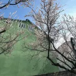 ABS ที่พักแขก Osh