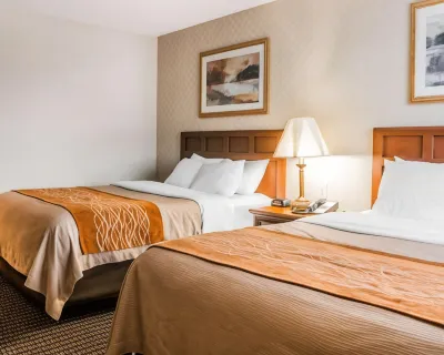 Comfort Inn Hotels in Shelby