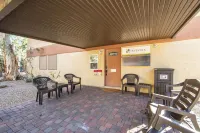 The Avenida Condominiums