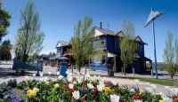 The Blue Pub Hotels in Windwhistle