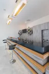 埃拉齊格德曼公園酒店 - 酒吧