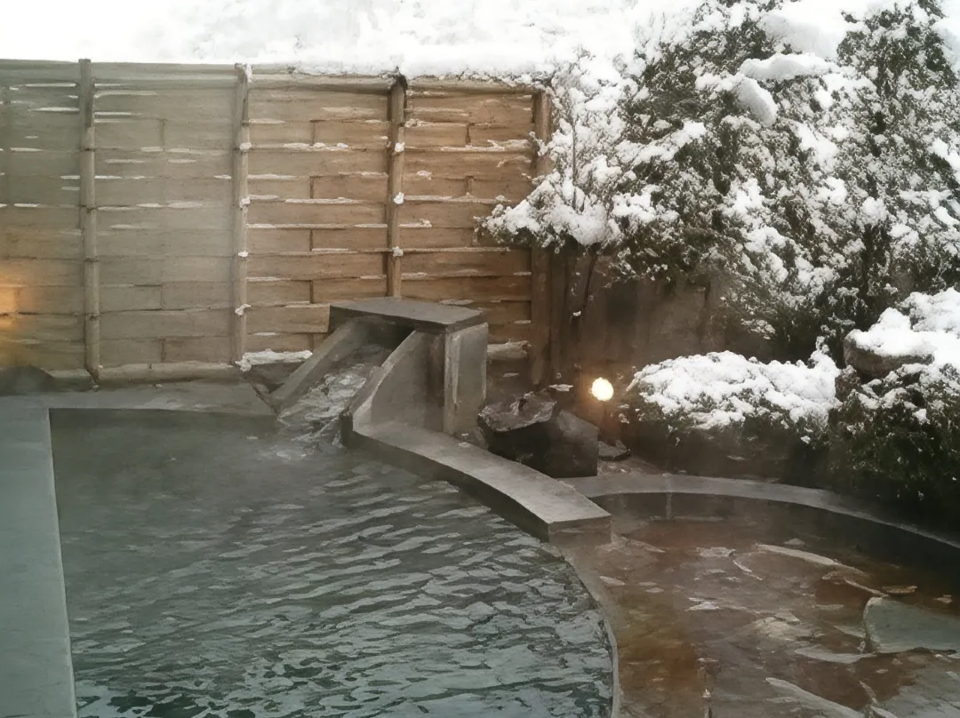 Togurakamiyamadaonsen Shunjyuan Kikusui Ryokan - 우에다시