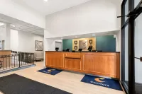 Comfort Inn Pocono Lakes Region - Pet friendly