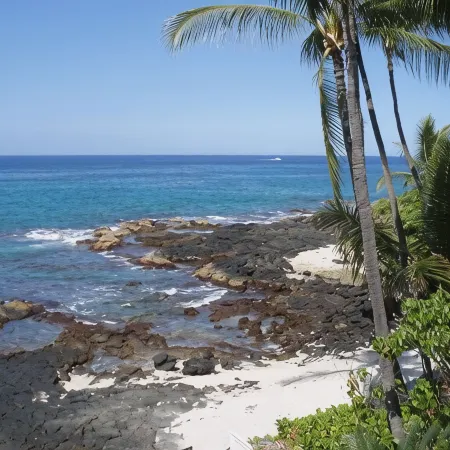 Breathtaking View on Beautiful Sandy Beach Oceanfront