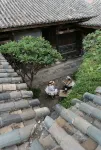 Ting Zi Yun Resort - 4-Star