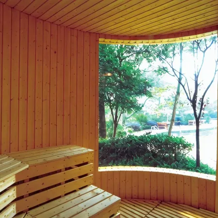 Mount Emei View Hot Spring Soup House