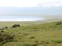 Neptune Ngorongoro Luxury Lodge