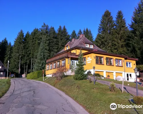 Hotel Restaurant Peterle Hotels in Feldberg