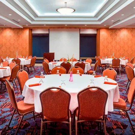 Holiday Inn DUBUQUE/GALENA by IHG
