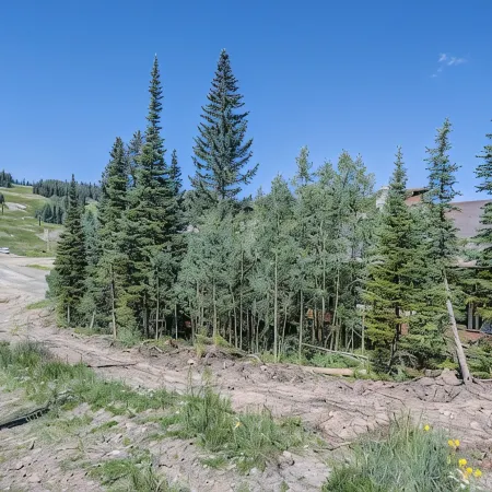 True ski-in/out two-level condo BH. Perfect for two families with a king suite.