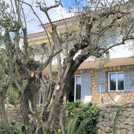 Villa vue mer et Oliviers