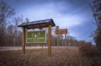 Modern Forest Chalet • Near Tippy Dam, Big-M & Caberfae • Starlink WiFi