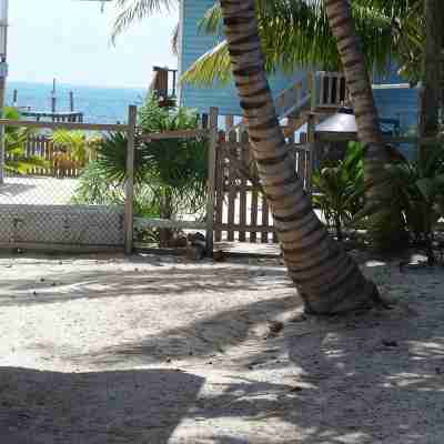Gumbo Limbo - Go Slow Cabana, Steps from the Ocean, Free Bikes, Free WiFi Hotel Exterior