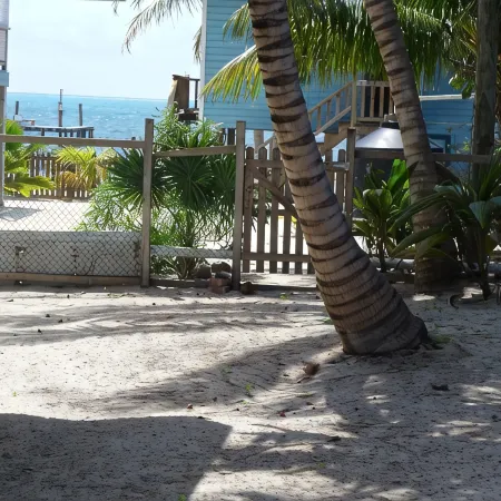 Gumbo Limbo - Go Slow Cabana, Steps from the Ocean, Free Bikes, Free WiFi