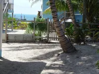 Gumbo Limbo - Go Slow Cabana, Steps from the Ocean, Free Bikes, Free WiFi - Bungalows