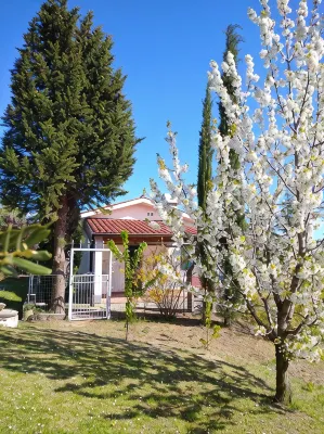 Detached Villa with wonderful gulf view. Single villa surrounded by greenery.