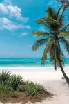 Shanuo Beach Bungalows - Beach