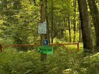 Hot Tub Nights & Northwoods Adventures at Paraiso Acres!