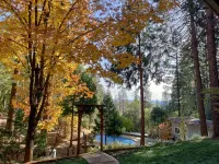 Forest retreat w/ Pool, Game Room, EV charger. Pet friendly! - Boutique