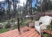 Forest retreat w/ Pool, Game Room, EV charger. Pet friendly! - Boutique