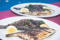 Mediterranean Blue - breakfast