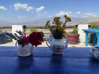 Dede Sebo Pansiyon