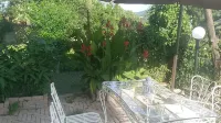 Casa Cerboneschi B&B in a Medieval Village with Panoramic Tuscan Hills - 3-Star