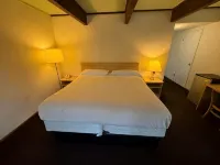 皇家棕櫚