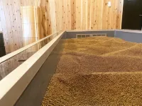 Sandbox