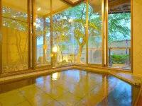 Hotel Casual Euro-Nikko's Inn with Its Own Natural Hot Spring - Hot Tub