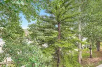Lux 3/3 Chalet! 4 Min Walk to Quicksilver Lift & Main STPRIVATE Hot TUB"