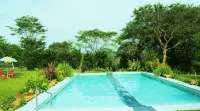 Bamboo Banks Farm & Guest House - piscine