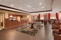Hampton Inn & Suites Williamsburg Historic District - Hot Tub