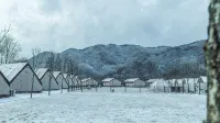 Chungju Jackson Glamping Pet-Friendly - Boutique