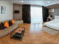 Premier Hotel Hotels in Gorodets