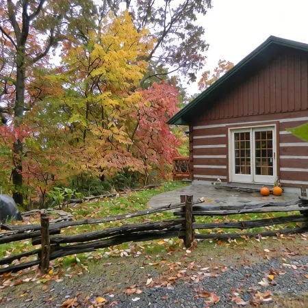 Wi-Fi PRIVATE Cabin in town Black Mountain Montreat FAST to Asheville WOODS