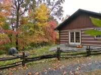 Wi-Fi PRIVATE Cabin in town Black Mountain Montreat FAST to Asheville WOODS - 木屋