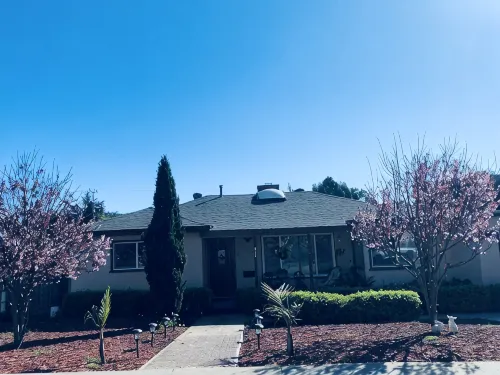 Sunny Bungalow