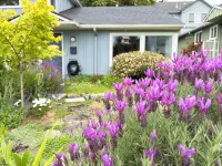 Magnolia Garden Cottage - a tranquil retreat surrounded by gardens - บ้านพักหลังเล็ก