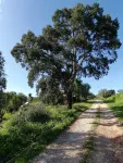 Hobbit Houses - 3-نجوم