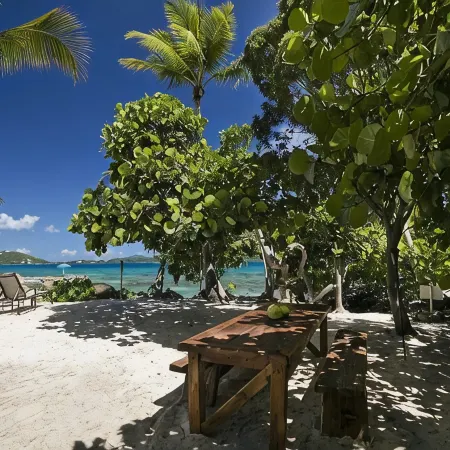 ONE BEACH ROAD; 6 Bedroom, 5 1/2 Bath Beachfront Oasis St Thomas VI