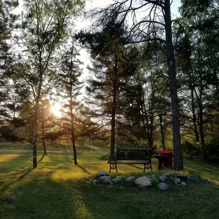 Spacious Four Bedroom Cabin for Northern Escape