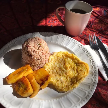 Casajungla Hostel
