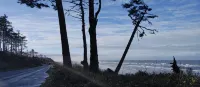 Grand Opening! 3-Bedroom Home- Close to Olympic National Park and Lake Quinault - 4-Star